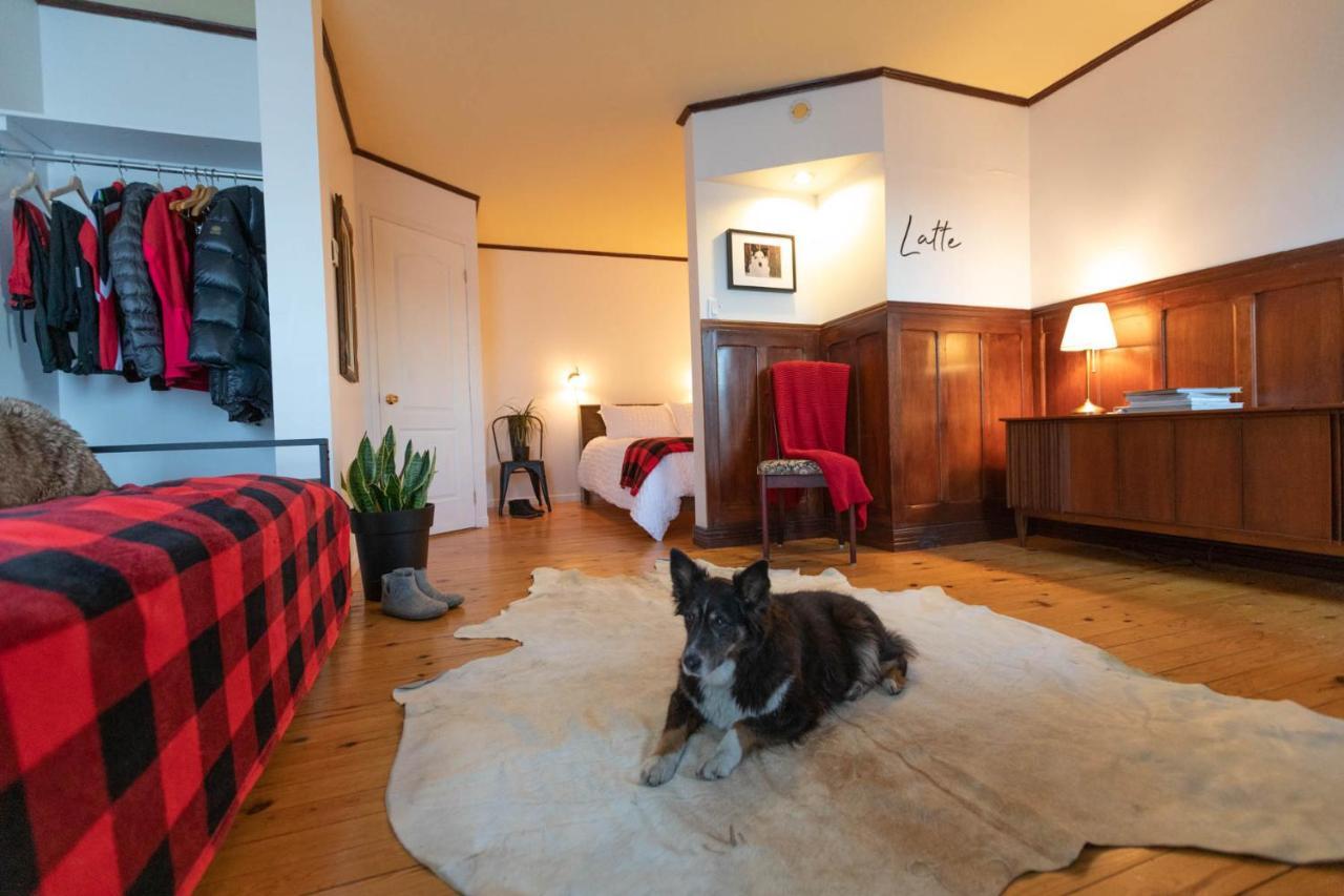 Saint-Ferreol-les-Neiges Auberge & Campagne מראה חיצוני תמונה